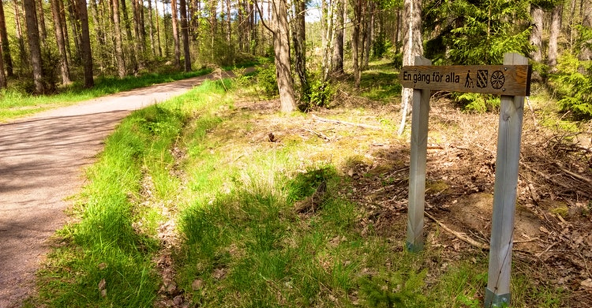 Albogaskogen - En gång för alla
