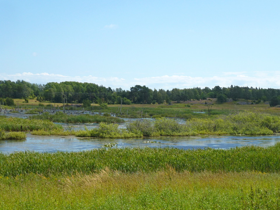 Eva Simonsson, maren