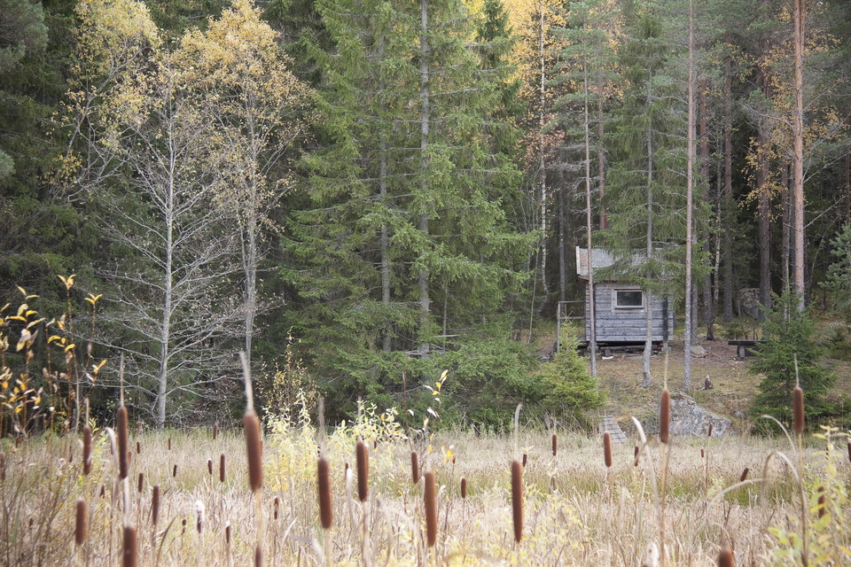 En myr leder fram till en glänta i skogen. I gläntan står en hydda.