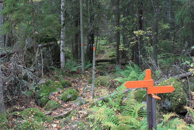 The Uppland Trail, Walk 7:1