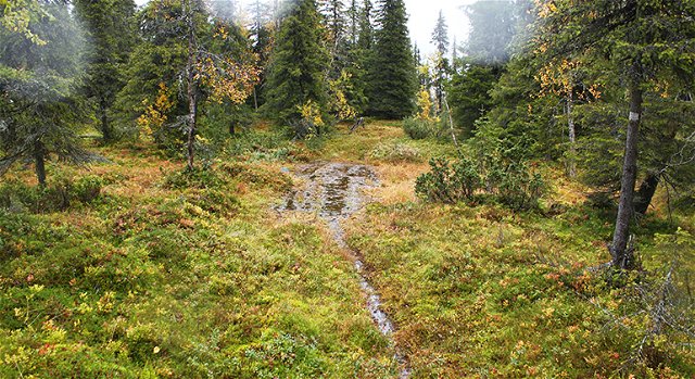 Trail Vittjåkk-Akkanålke