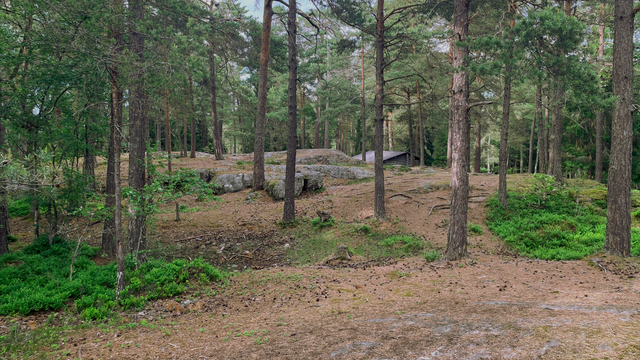Naturstigen: Markering 4
