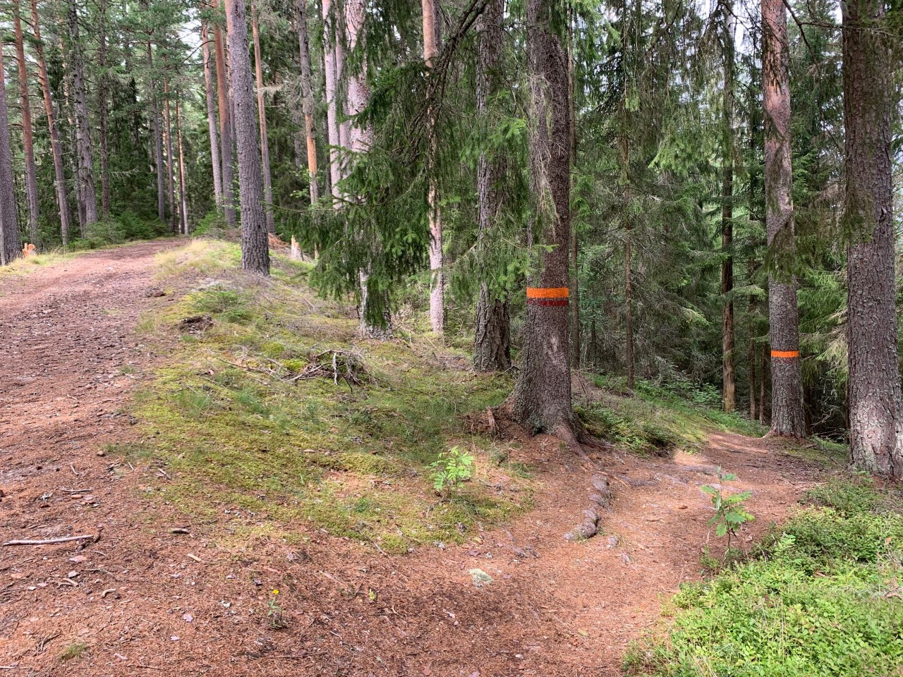 Vandringsleden Rågåsen