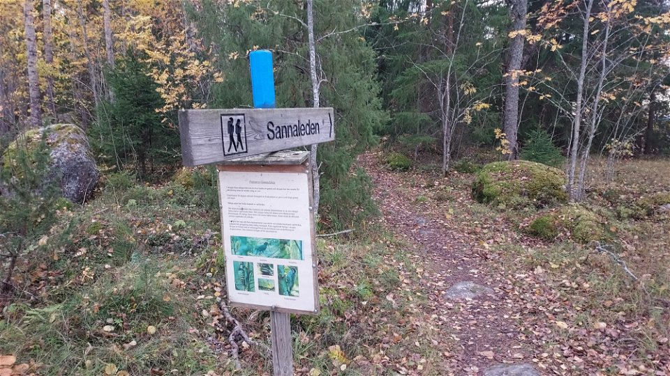 Sannaleden, information om Prästarvs gammelskog