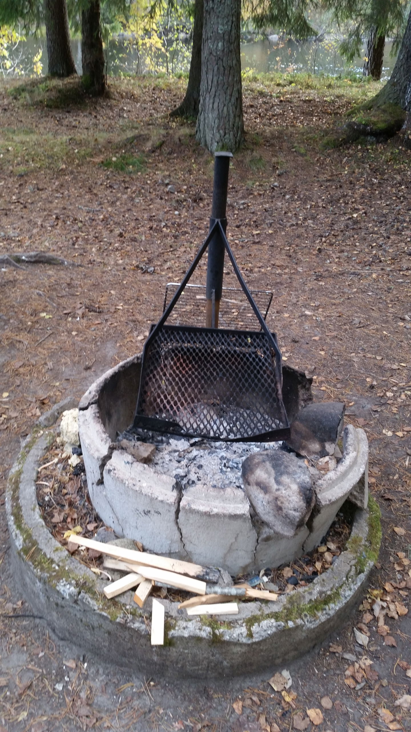 Grill