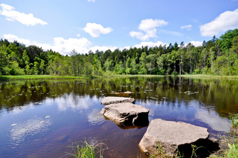 Sandakärret i Sandaskogen.