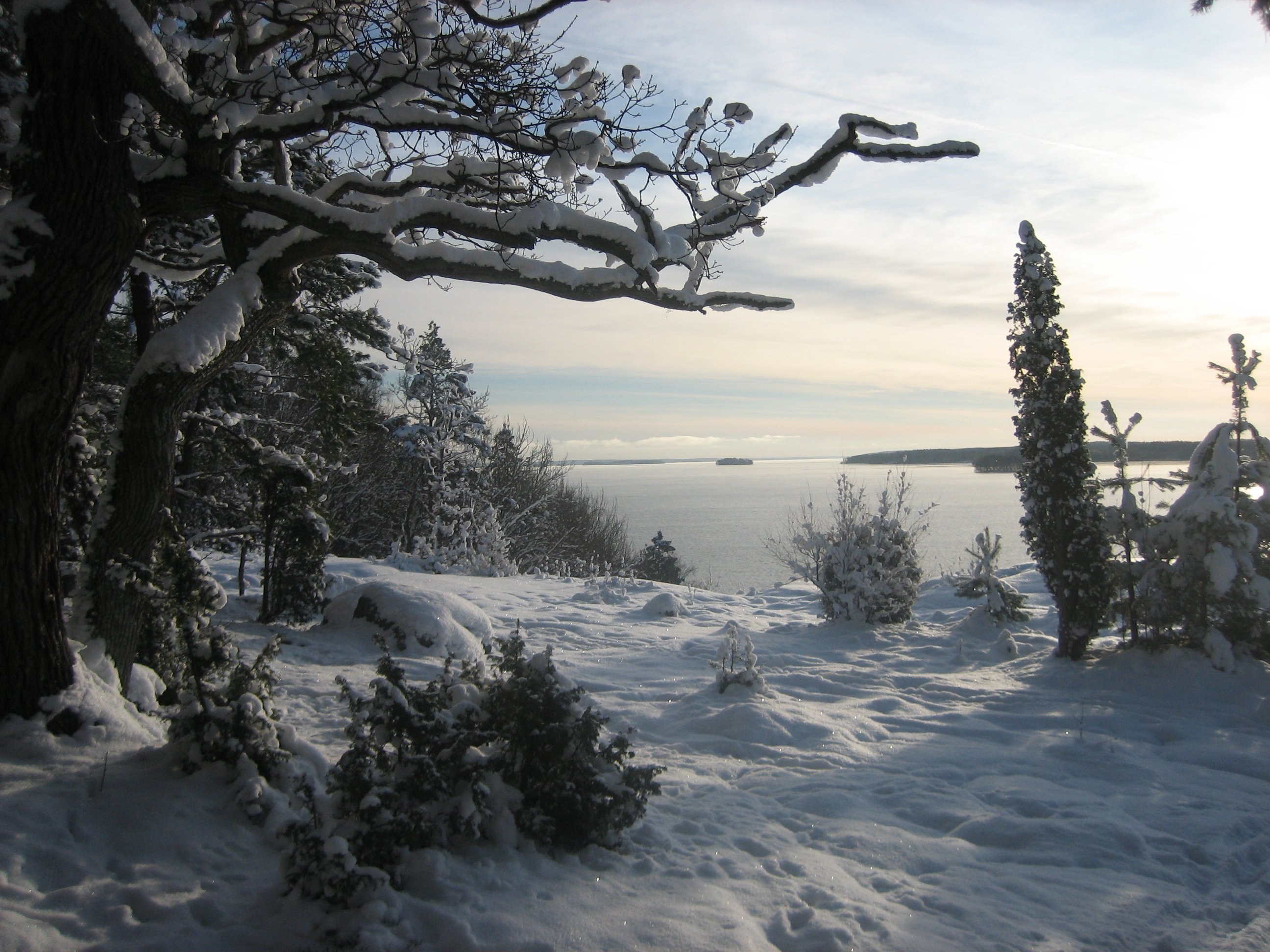 En utsiktsplats på klippor vid vattnet. Det ligger mycket snö på klipporna och träden.