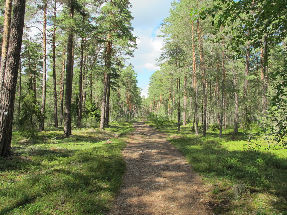 Processionsvägen på Rösaringsåsen. 