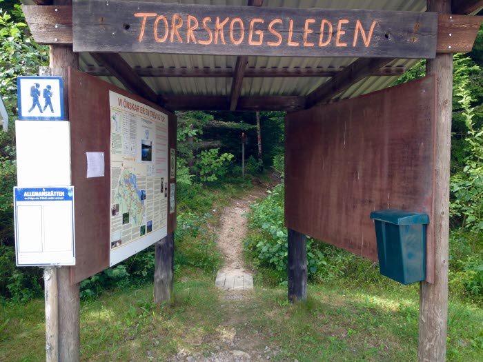 Sommarcafé i Torrskog