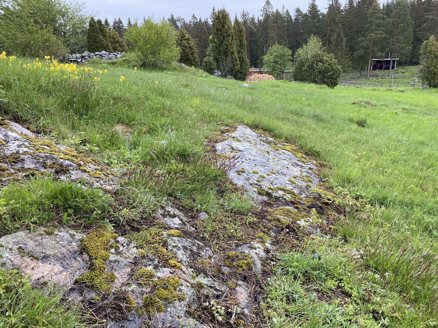 Gravfält i Hemlingby, örtbacke, bilden visar en stor sten med äng runt om. Det syns även en stenmur och hästhagar i bakgrunden.