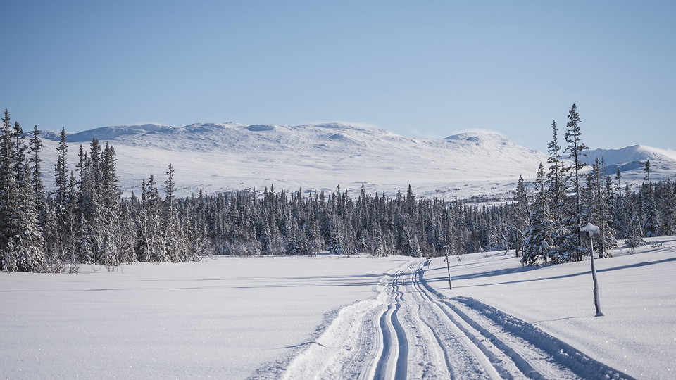 Kryssmarkerad vinterled med skidspår och utsikt över fjäll. 