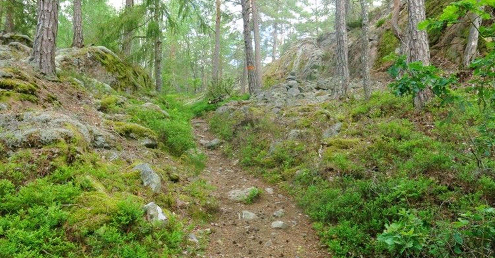 Ramunderborgen, Syd-Sydöstra vallen
Etapp: Borgbergsleden, rundslinga. 
Söderköping