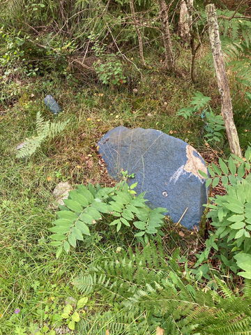 Konst: Valen