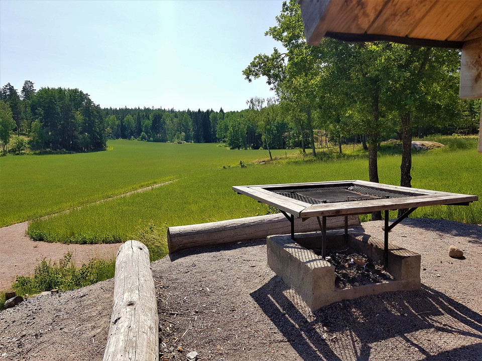 Utsikt över ängen från grillplatsen.