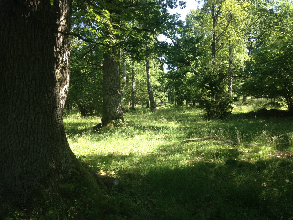 Fotograf: Ellen Flygare