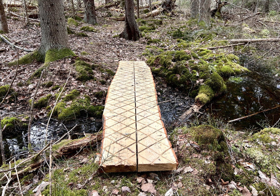 Träspångar över våtmark