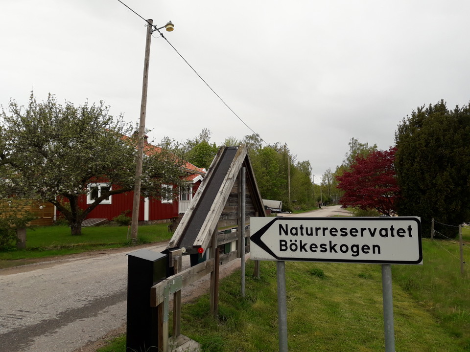 Vägvisning