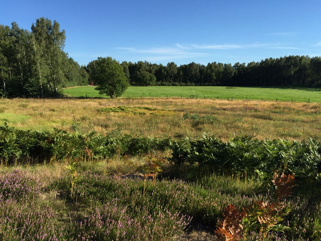 Hällarp, Naturreservat