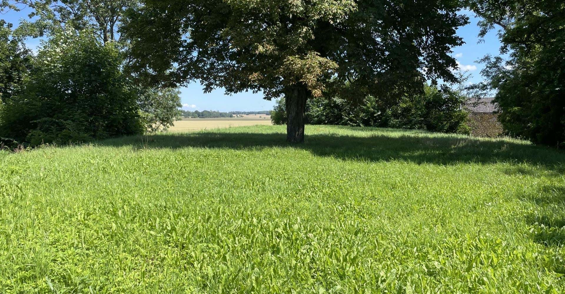 Askahögen, plattform för hallbyggnad från vendeltid.
Söder om etapp Vadstena-Motala
Vadstena kn
