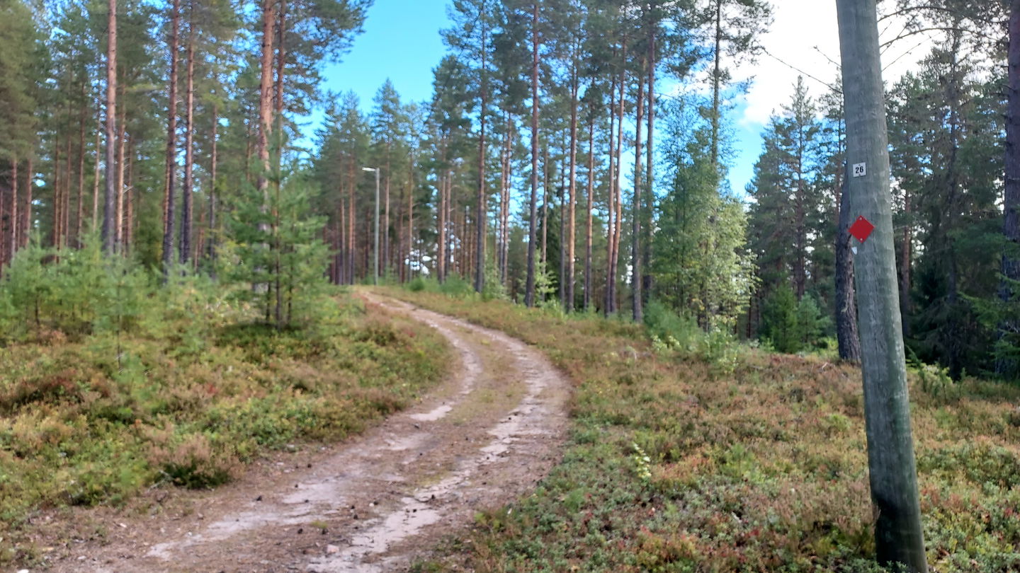 Elljusspåret i Valla, Färila