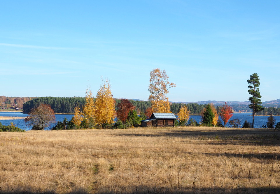 Höstvy över betesmarken.