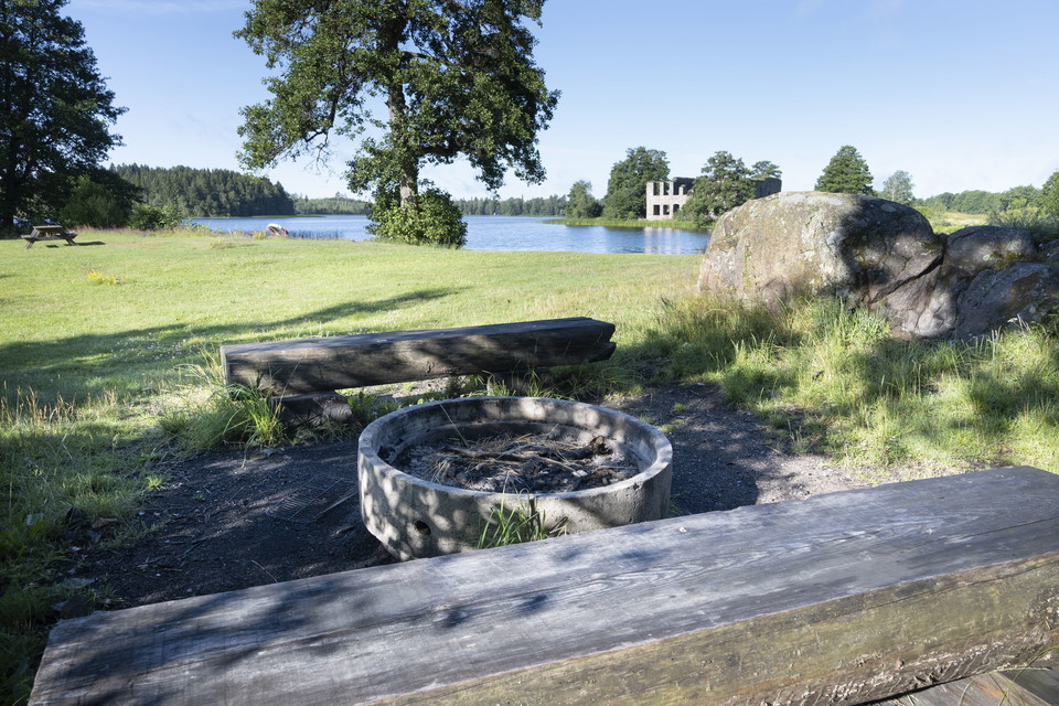 Udde med tall och gran. Utsikt mot sjö med slottsruin på andra sidan.