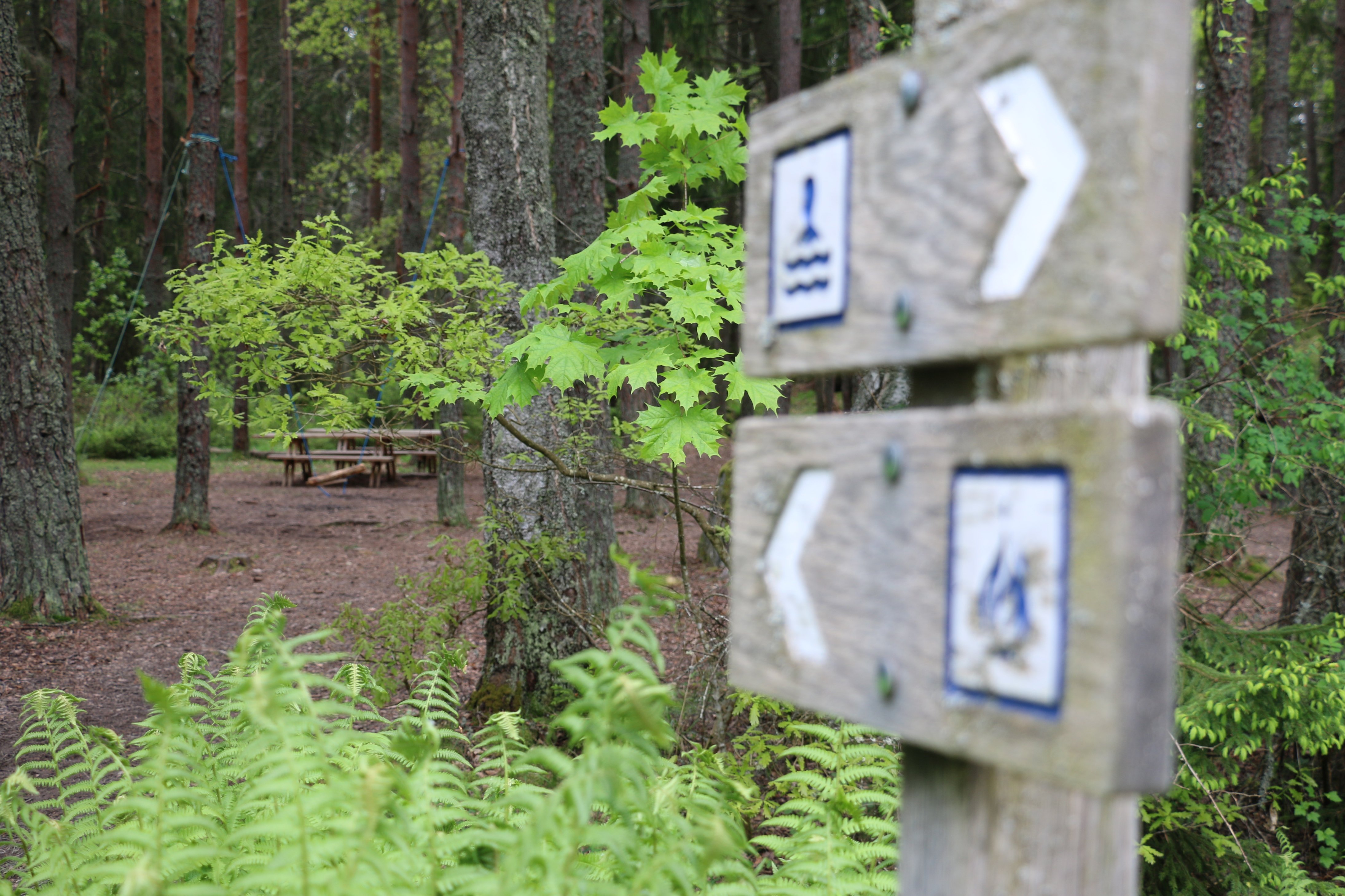 Två träskyltar som visar vägen till rastplats och badplats. I skogen syns ett bord med bänkar.