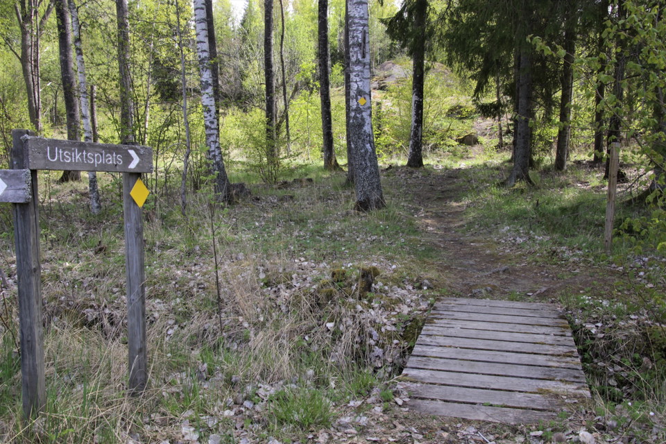 Stigen är gulmarkerad och utgår från fågeltornet.