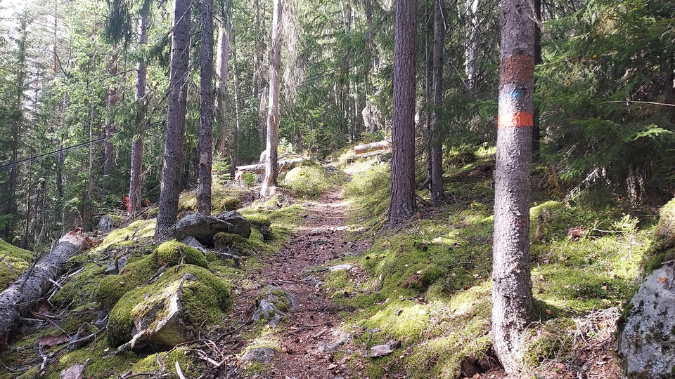 Toppleden Färila