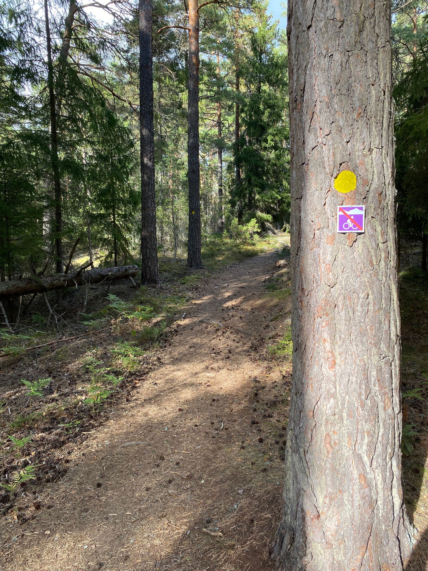 Ridstig på Lovön.