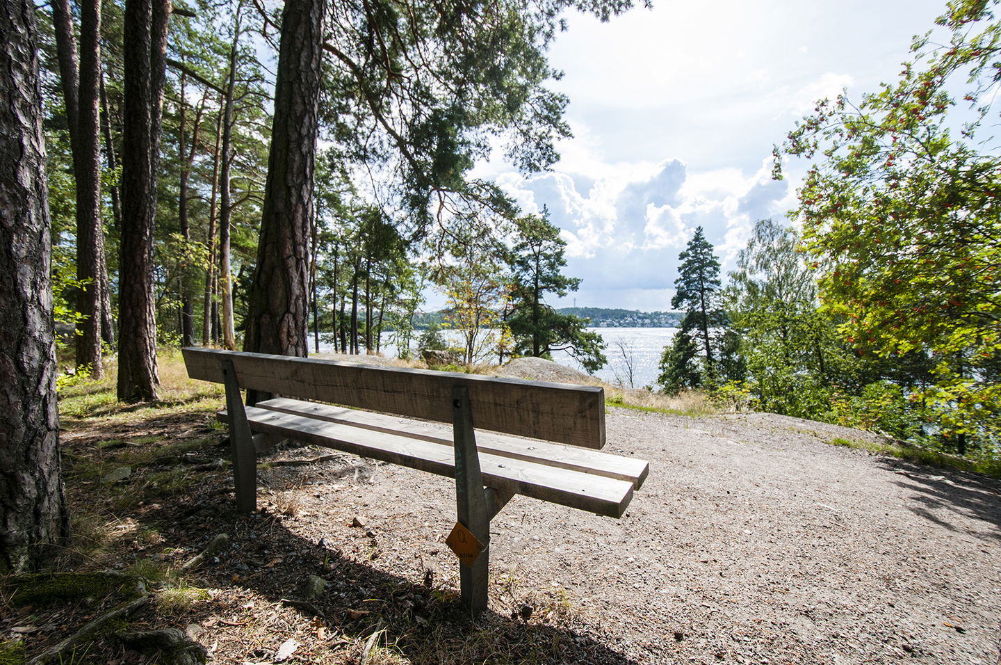 En parkbänk med vy ut över Mälarens vatten.