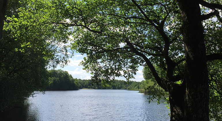 Vaxsjön.