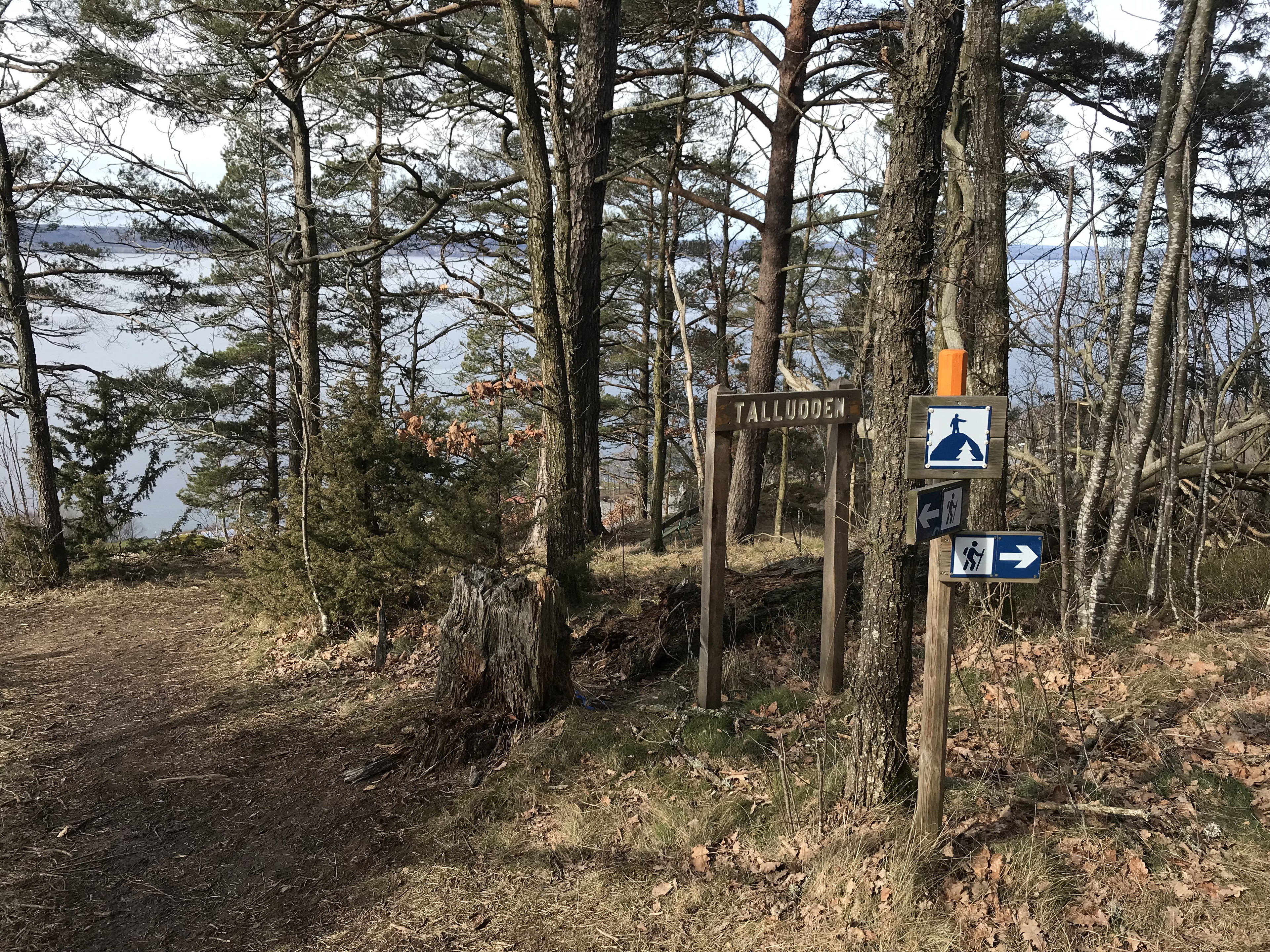 Talludden