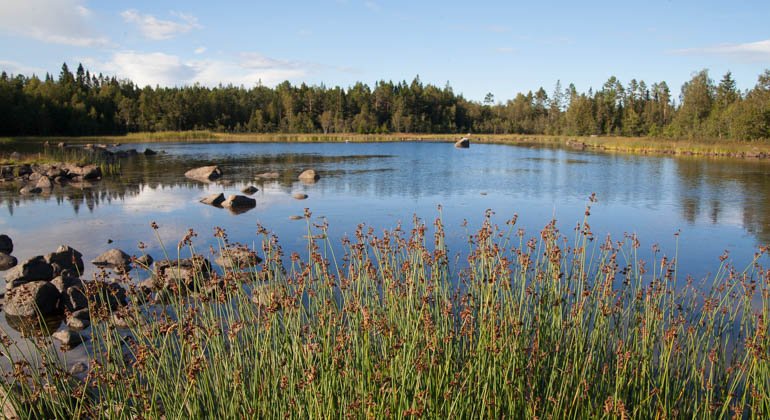 Långörens naturreservat.