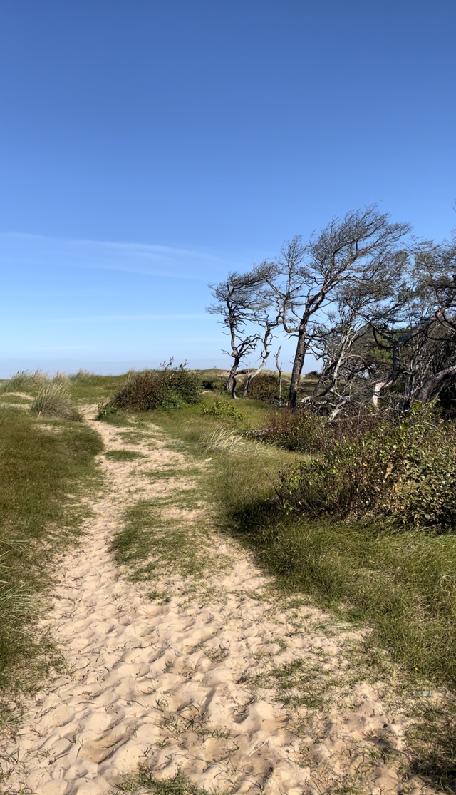 Hökafältet, Mellbystrand. 