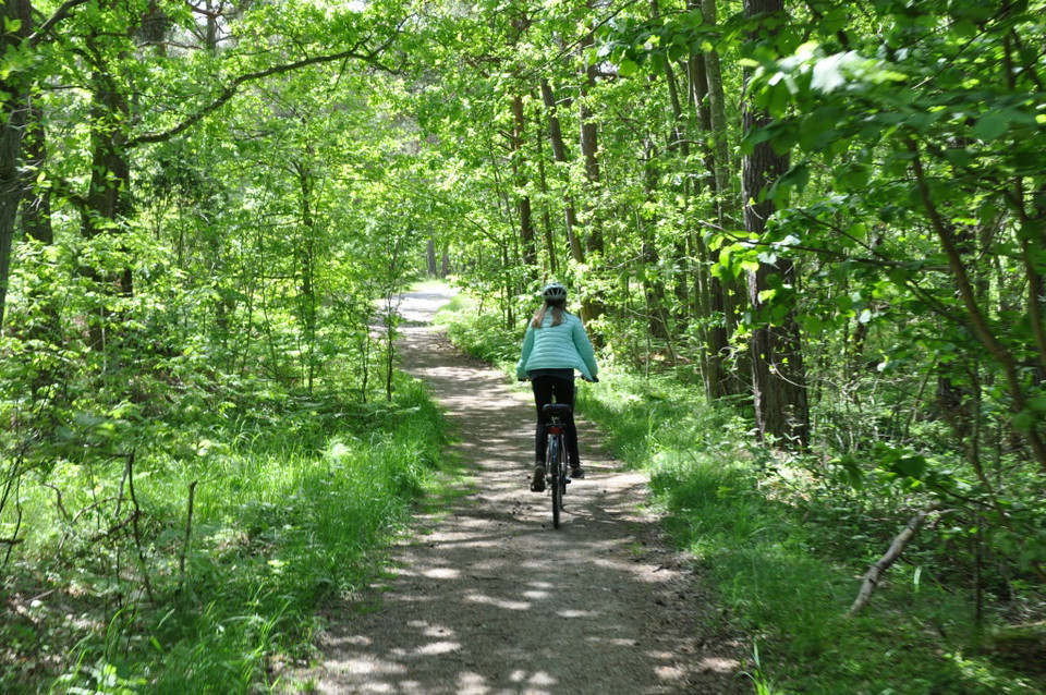 Daytrip: Kayak- and biketrip from island to island - a roundtrip from Tjurkö to Sturkö and back