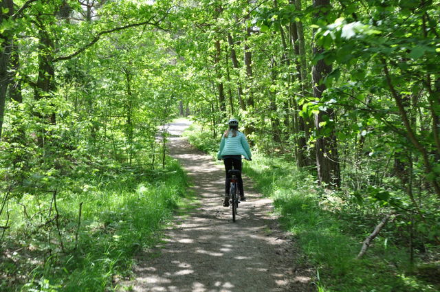 Dagstur: Cykel- och kajakäventyr från ö till ö - en runda mellan Sturkö och Tjurkö längs ARK56