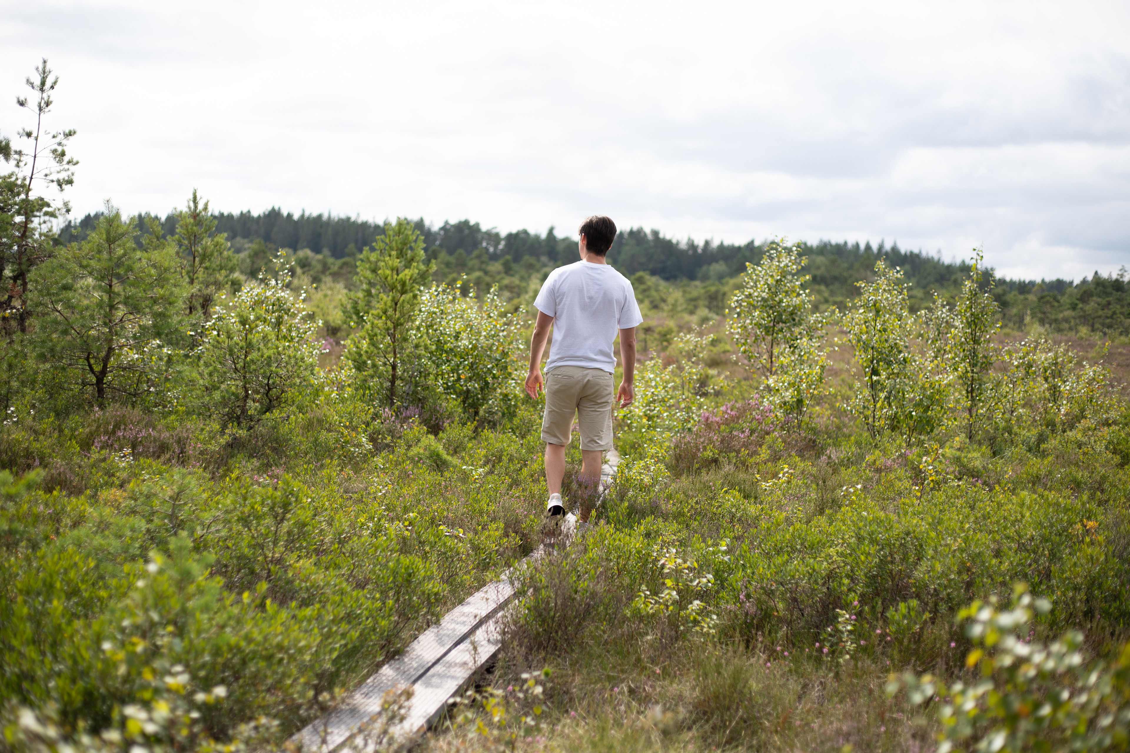 Långa myrrundan Årshultsmyren (Längd: 4,2 kilometer)