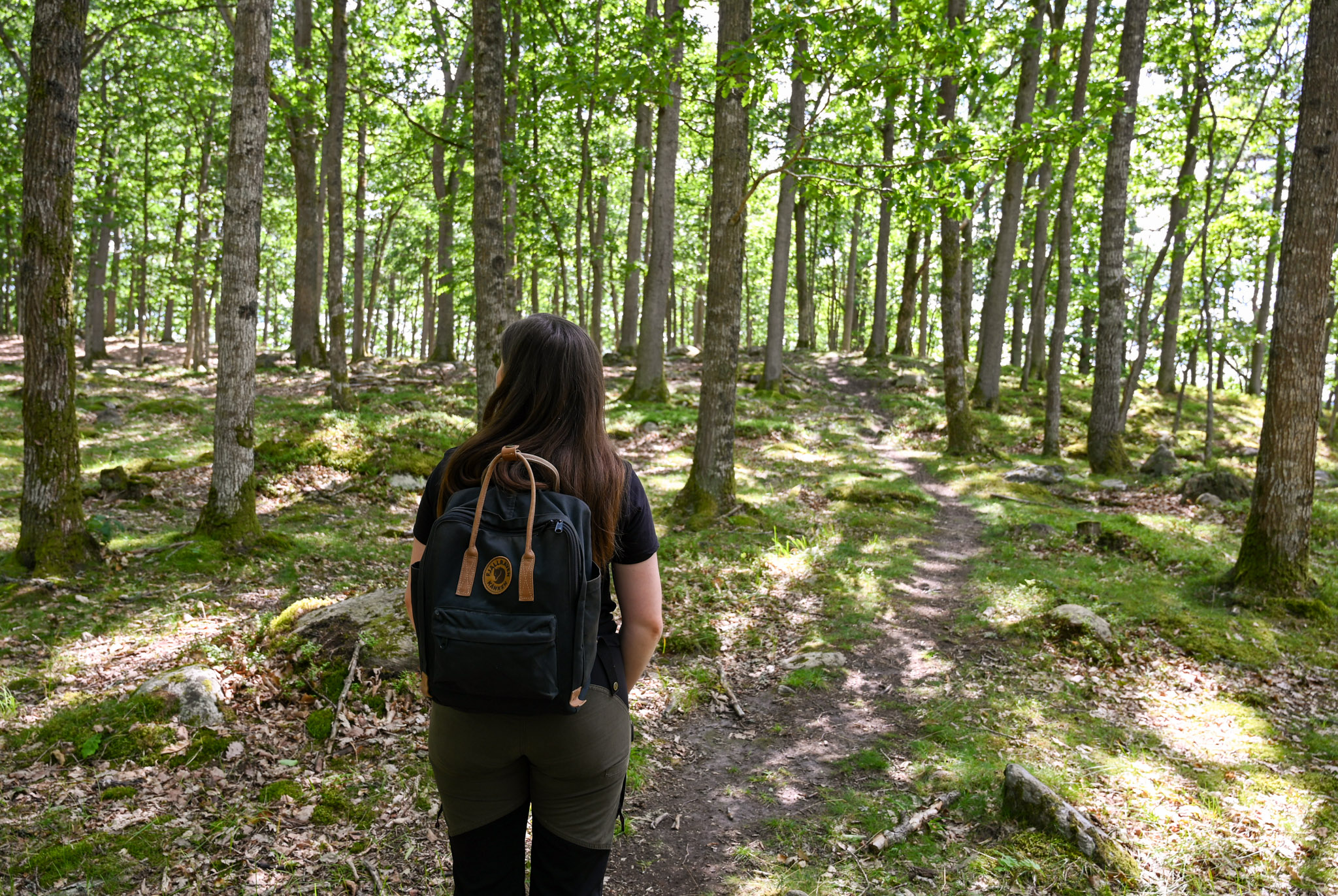 Möckelsnässlingan – En del av Smålandsleden