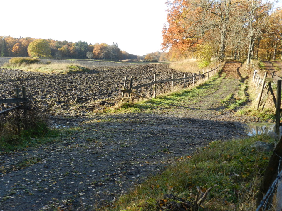 Lars Magnusson