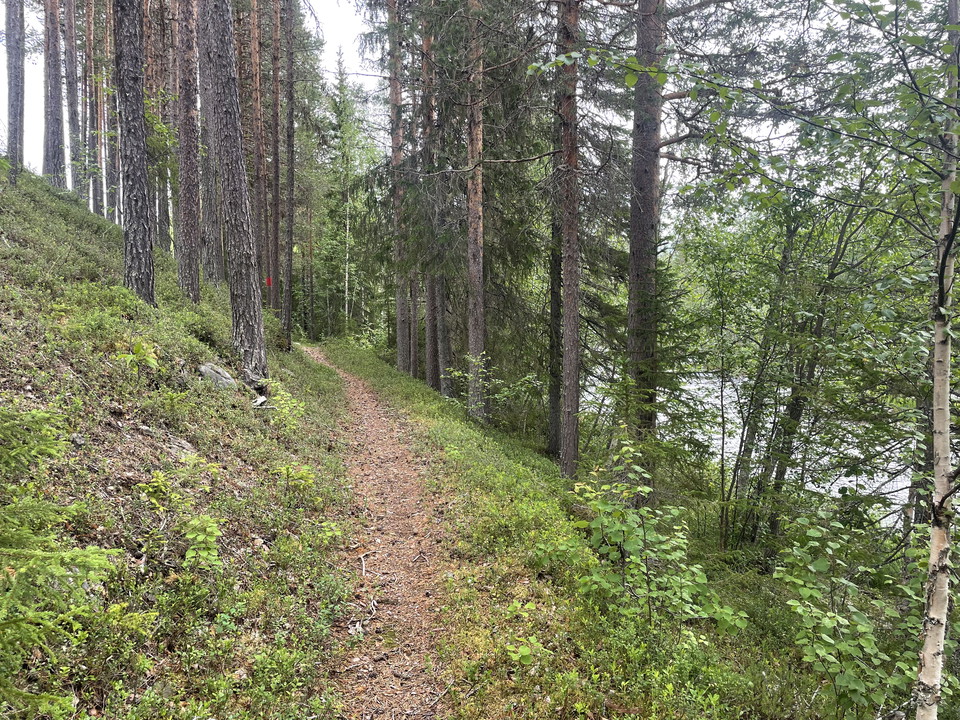 Stigen går längs Gunnarbäckens norra sida.