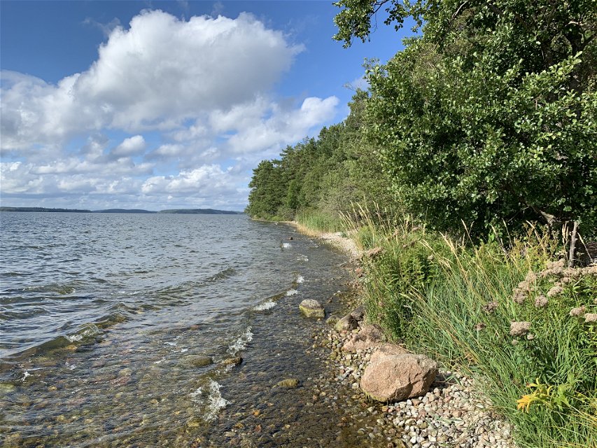 Vacker strandlinje vid eldplatsen i Adelsö Sättra.