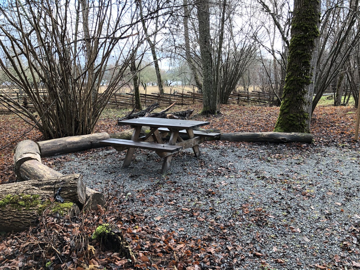 Ett bänkbord står på en liten grusplan med stockar runtom planen. I bakgrunden syns en gärdesgård och bakom den finns en äng. 