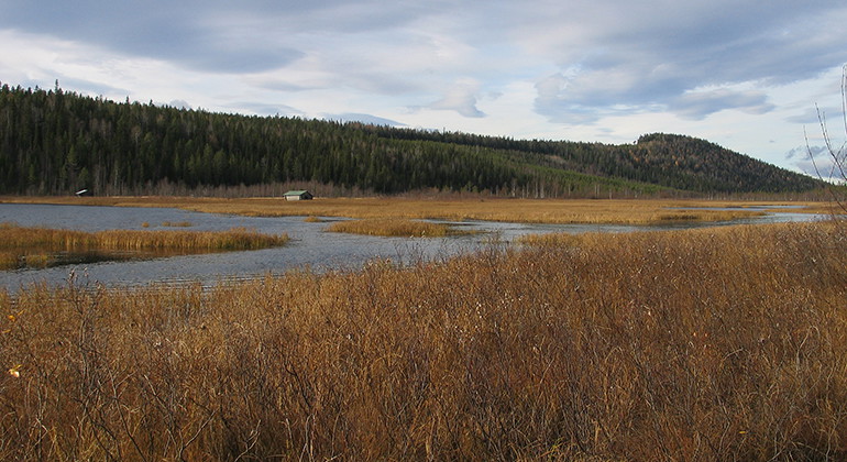 Storkrokberget.