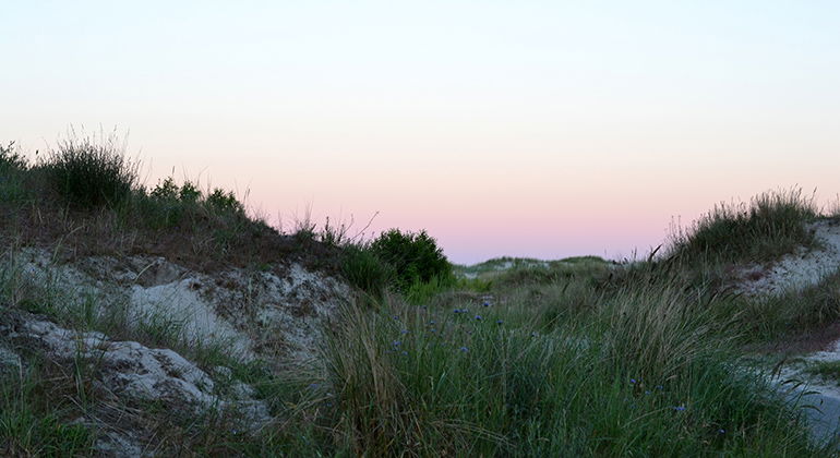 Sanddyner i solnedgång.