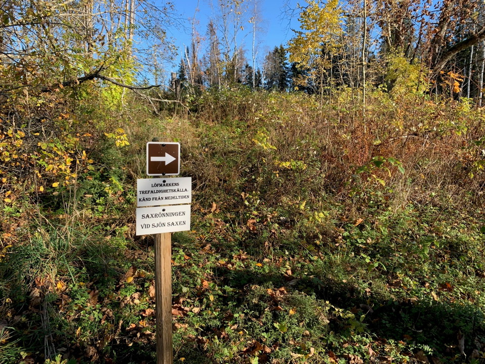 Ledmarkering Löfmarken