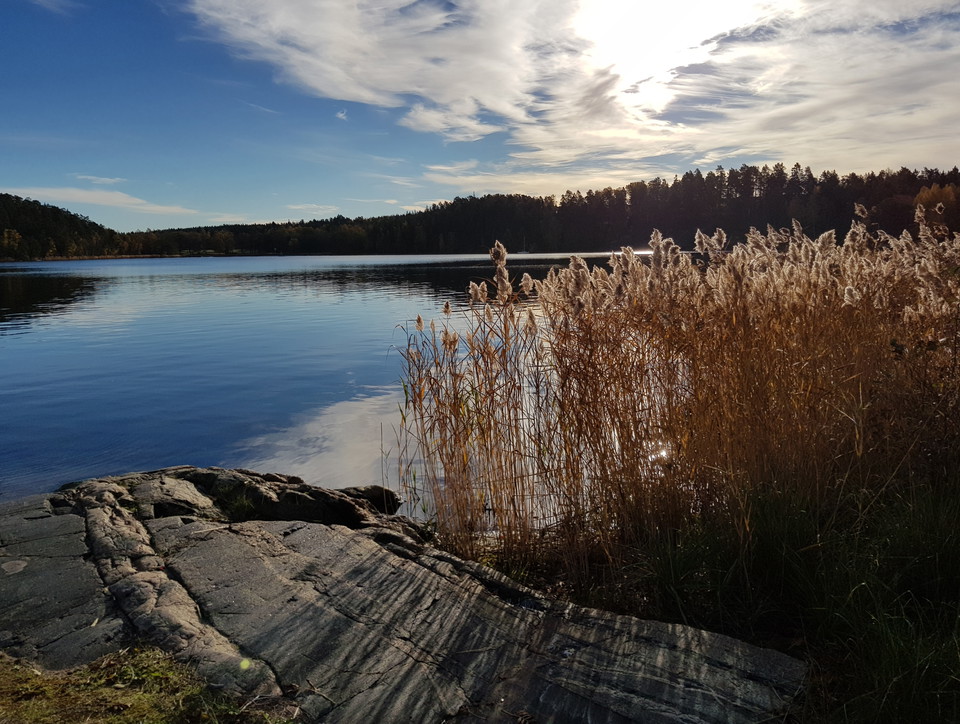 Strand på östra Bosön. Foto Lidingö stad