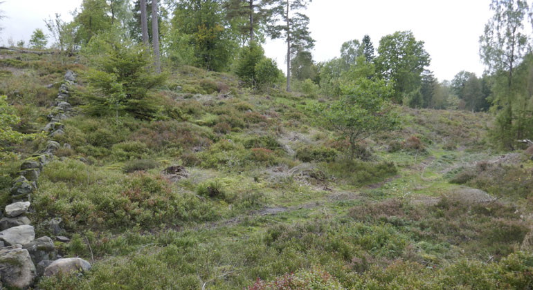 stig i reservatet