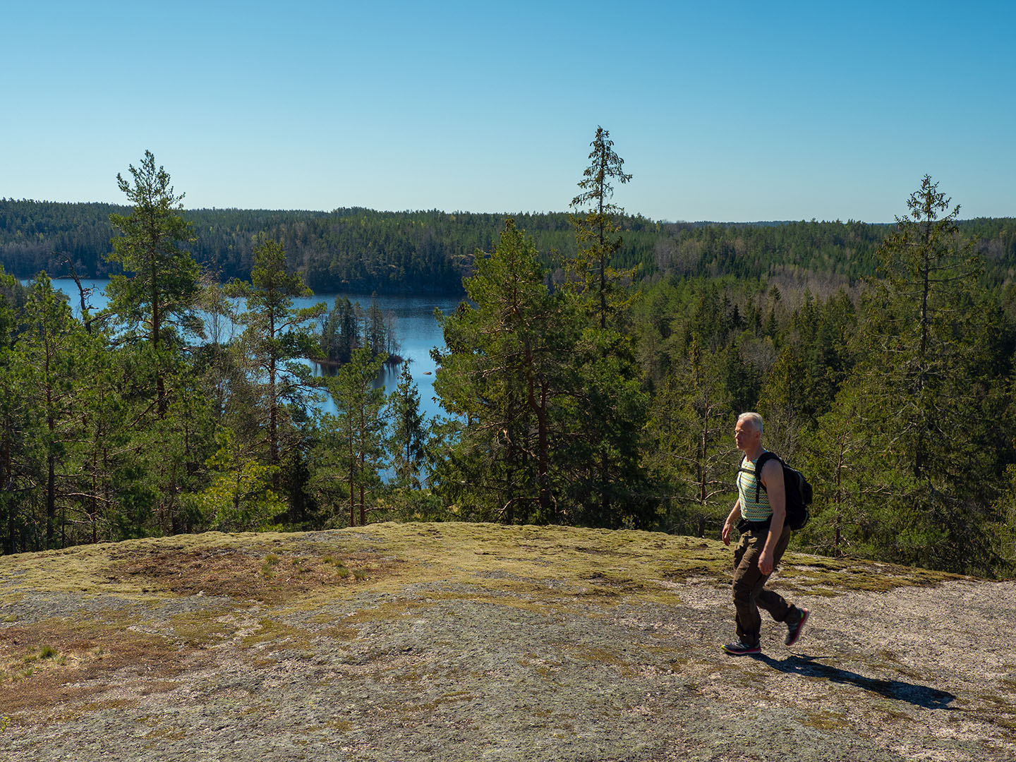 Glotternskogen – Lilla Älgsjön, Östgötaleden
