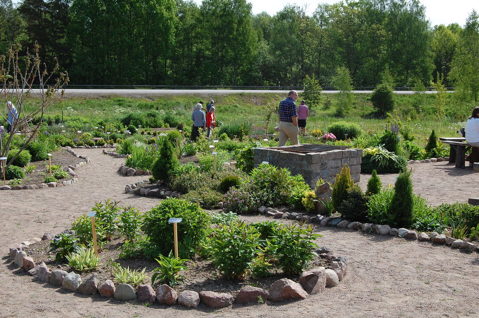 Kalvkätte trädgård